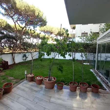 Bilocale Eur Grotta Perfetta 50mq Casa 32mq Sala Hobbies E 250mq Giardino
