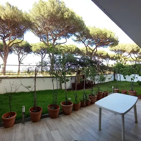 Bilocale Eur Grotta Perfetta 50mq Casa 32mq Sala Hobbies E 250mq Giardino Apartment