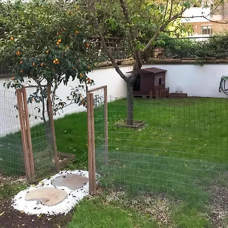 Apartamento Bilocale Eur Grotta Perfetta 50mq Casa 32mq Sala Hobbies E 250mq Giardino