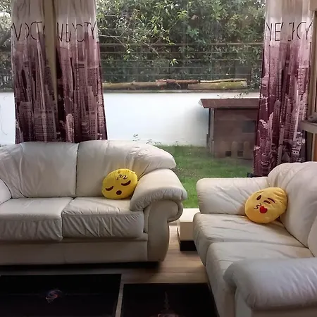 Apartamento Bilocale Eur Grotta Perfetta 50mq Casa 32mq Sala Hobbies E 250mq Giardino *